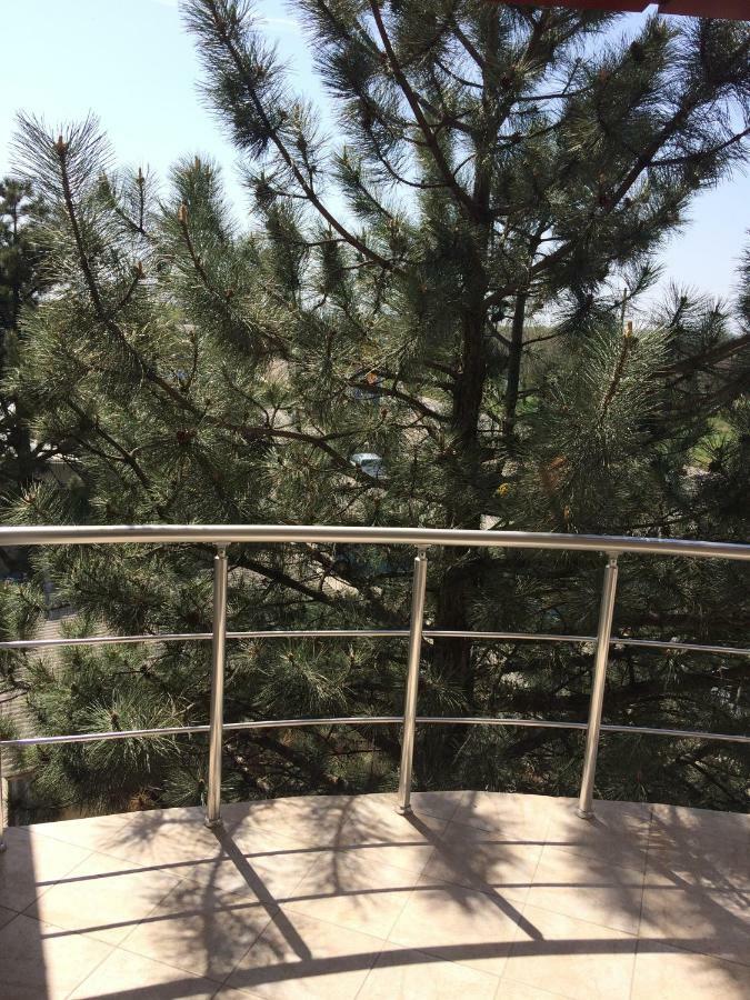 Falesti Hotel Paulina מראה חיצוני תמונה